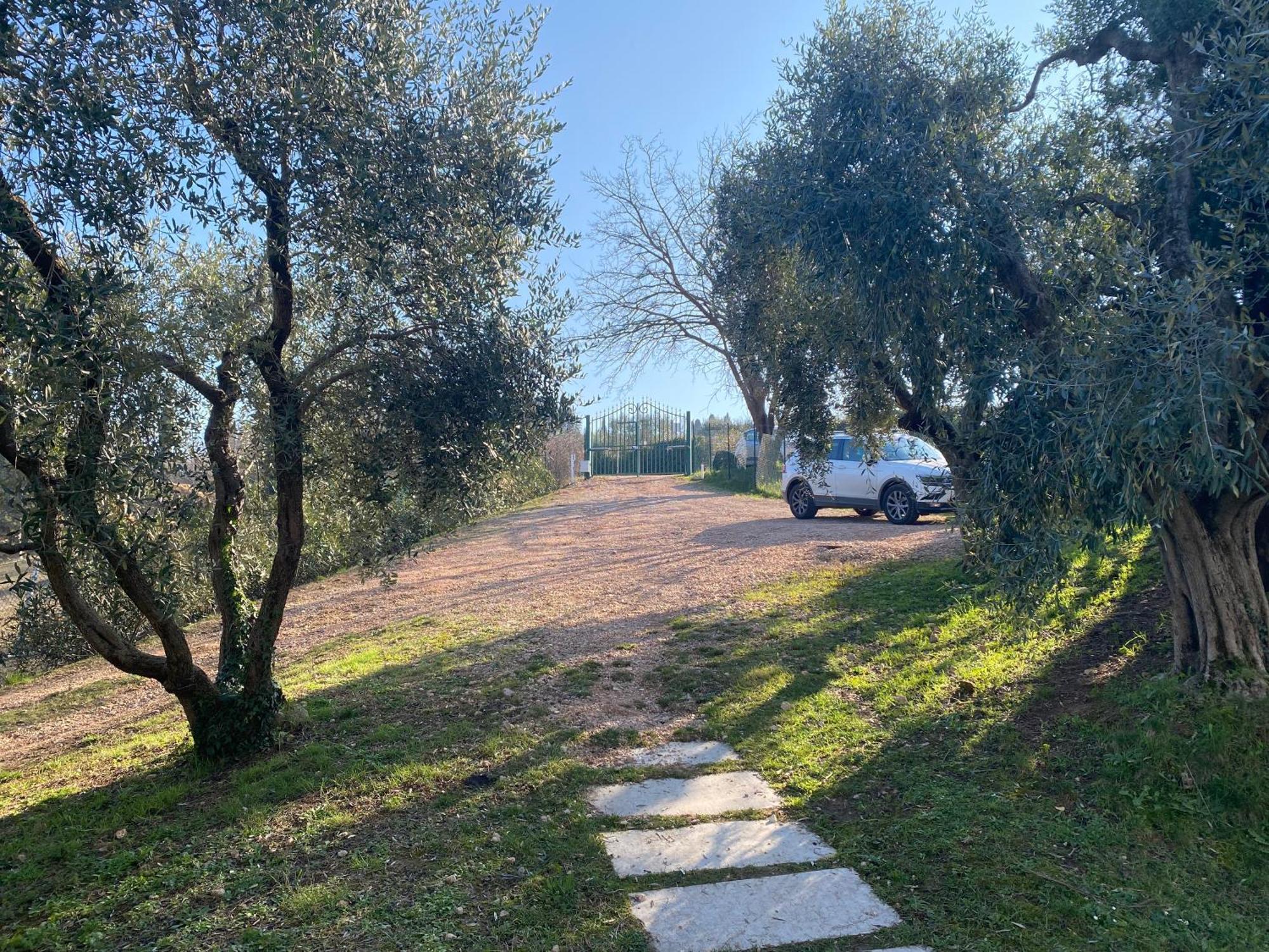 Appartamento Residenza Cipressi e Olivi Verona Esterno foto